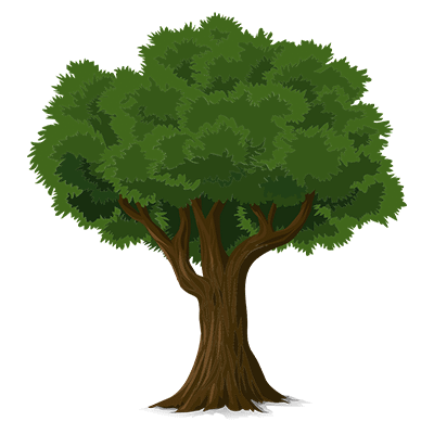 Tree-2